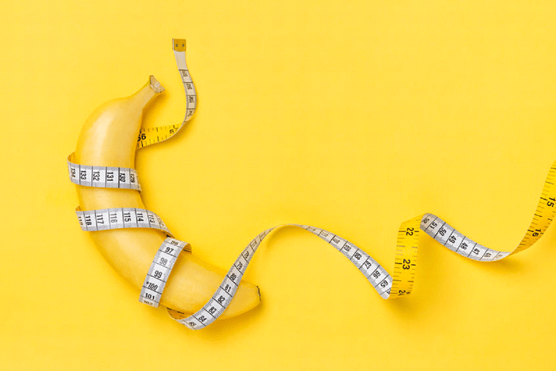 El tamaño promedio del pene está en una erección - 13.12 cm