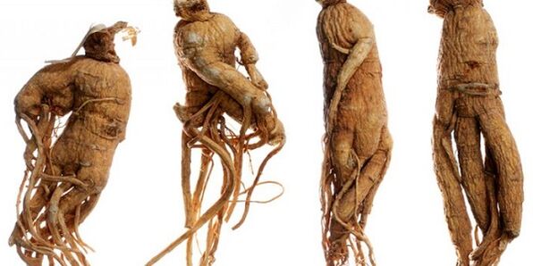 Raíz de ginseng para aumentar el pene